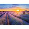 Ravensburger Nathan 12002002002 - Puzzle da adulto, motivo: Via della Lavanda, Valensole (collezione regioni della Francia) per adulti e bambini da 12 anni, puzzle di alta qualità