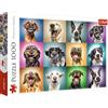 Trefl - Puzzle Ritratti di cani divertenti - 1000 Elementi, cani, cani divertenti, cani divertenti, ritratti di cani, puzzle fai da te, intrattenimento creativo, regalo, divertimento, puzzle classici