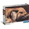 Clementoni - Puzzle 500 Pezzi per Adulti e Ragazzi, Collection, Tema Cuddles, Foto Cane e Gatto, con Poster Incluso, Compact Box, Idea Regalo Uomo e Donna, Made in Italy, 49x36 cm, 35583