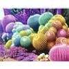 Nathan-Puzzle Adult - Puzzle da 2000 pezzi - Cactus rainbow - Adulti e bambini a partire dai 14 anni - Puzzle di alta qualità - Misura perfetta - Art Photo Collection -12001142