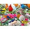 Ravensburger Puzzle 2D: Ptaki ogrodowe 500 elementów, Nowy design