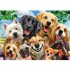 Schmidt, Dog Selfie Puzzle - 500pc, Puzzle, Ages 12+, 1 Players