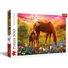 Trefl - Cavalli nel Prato - Puzzle 500 Pezzi - Puzzle per Amanti degli Animali, Cavalli, Bricolage, Intrattenimento Creativo, Divertimento, Puzzle Classico per Adulti e Bambini dai 10 anni