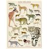 Nathan - Puzzle da 500 pezzi - The Felines/National Museum of Natural History - Adulti e bambini a partire dai 12 anni - Puzzle di alta qualità - Collezione Nostalgia - 12000978