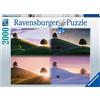 Ravensburger Puzzle 17443 - Puzzle Atmospheric Trees and Mountains da 2000 pezzi per adulti e bambini dai 14 anni in su