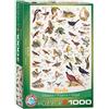 EuroGraphics Uccelli