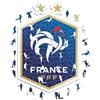 Iconic Puzzles - Francia, Logo, Puzzle di Legno con licenza ufficiale della nazionale, 100% sostenibile, regalo per adulti e bambini, taglia S, 150 Pcs