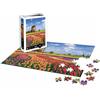 Sentosphère Puzzle 1000 pezzi - Paesaggio - Campi di Tulipani - Olanda