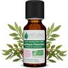 VOSHUILES.COM HUILES ESSENTIELLES & VEGE VOSHUILES - Olio Essenziale di Lentisco Pistacchio Bio - 10ml | Profumo Caldo - Rinomata per le Proprietà - Qualità Superiore - 100% Puro e Naturale - HEBBD e Certificato Ecocert