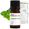 Aroma Labs Patchouli BIO (Pogostemon cablin) - 5 mL - Olio Essenziale Chemiotipizzato e Certificato AB/Cosmos - Aroma Labs - Made in France