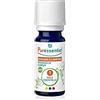 Puressentiel Olio Essenziale di Rosmarino Canfora BIO 10 ml | Olio essenziale 100% puro e naturale OEBBD. Integratore. Funzione digestiva. Funzionalità epatica. Regolare motilità