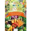 Demetra Calendario lunare 2026 da parete (26,5 X 38,5 cm)