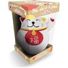 Larousse Mon chat de la fortune antistress: Avec 1 mini-peluche, 1 carnet ludique