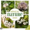 Ackermann Kunstverlag Colours of Nature Broschürenkalender 2026 - 30x30 - Art12 | Abwechslungsreicher Naturkalender im schlanken Hochformat (aufgeklappt 30x60 cm) | Notizen