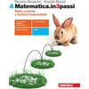 Zanichelli Matematica.in3passi. Vol. A. Retta, coniche e funzioni trascendenti. Per le Scuole superiori. Con e-book. Con espansione online