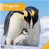Ackermann Kunstverlag Pinguine Broschürenkalender 2026 - 30x30 - Art12 | Niedlicher Tier-Kalender im schlanken Hochformat (aufgeklappt 30x60 cm) | mit Eintrage-Kalendarium