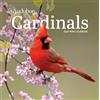 J-Novel Club Audubon Cardinals Mini Wall Calendar 2027