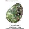 Robin Edizioni Il cappio che ti frega. Cronistoria di un femminicidio inapparente