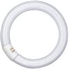 WatioWave Fluorescente circolare 40 W 6500 K