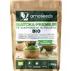 Amoseeds Tè Matcha Giapponese in polvere BIO 200g Qualità Premium Autentico 100% foglie