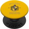 Warner Bros. Harry Potter | Merchandising ufficiale della casa di Tassorosso | WBUHPT08 PopSockets PopGrip Adesivo