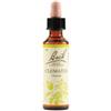 SCHWABE PHARMA ITALIA SRL Clematis Bach Orig 20 Ml