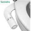 SAMODRA Bidet Accessorio per WC non elettrico Bidet a doppio ugello Pressione dell'acqua regolabile con ingresso in ottone
