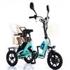 Daibot Triciclo elettrico a 3 ruote per adulti piccoli Triciclo elettrico pieghevole a 2 posti per uomini anziani Triciclo da carico per bici elettrica da 350 W