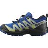 Salomon XA PRO V8 Waterproof, Scarpe da Trekking Unisex - Bambini e Ragazzi
