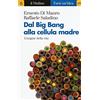 Il Mulino Dal Big Bang alla cellula madre. L'origine della vita