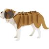 Fridolin Modello di carta 3D cane San Bernardo