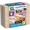 Liscianigiochi- Montessori Box Taste, 105472, Multicolore
