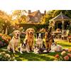 Oranglight Puzzle da 1000 pezzi per adulti, cani e gatti, puzzle da giardino di grandi dimensioni con poster, puzzle stimolante per adulti, regalo artistico da parete per amanti dei cani, amanti dei