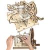 qimeyu Kit di Costruzione 3D in Legno Pista per Biglie, Modello Meccanico, Set di Puzzle 3D in Legno per Adulti e Ragazzi