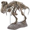 VALINK Venus valink Tirannosauro Rex Scheletro Dinosauro Animale Collettore Soprammobile Modello, Grande Fossil Teschio Modello Giocattoli, Arredamento Articoli Decorazione per Casa Ufficio Supplies
