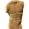 CARTONIC Torso Maschile Puzzle 3D in Cartone - Modellino da Costruire | 101 Pezzi, 19 × 12 × 9 cm - Kit Scultura Fai da Te da Dipingere, Materiali Riciclati, Ragazzi e Adulti, Idea Regalo