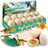 Beanewone Dinosauro Giocattolo, 12 Uovo di Dinosauro con Dinosauri per Bambini Unici, Regali di Natale & Pasqua, Adatto a Ragazzi e Ragazze dai 3 ai 12 anni (Bianco)