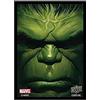 Upper Deck Protector: Marvel: Hulk, Multi (95205)