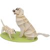 Fridolin Modello di carta 3D Golden Retriever