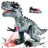 TOEY PLAY Dinosauro Giocattoli T-Rex per Bambini, Dinosauro che Cammina | Dinosauri Giocattolo con Luci e Suoni, Giochi Dinosauri 3 4 5 6 Anni, Educativo Regalo per Ragazze dei Ragazzi