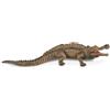 Collecta 3388334 - Figurine - Dinosaure - Préhistoire Sarcosuchus