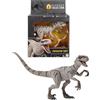 Mattel Jurassic World - Action figure di dinosauro Hammond Collection, fantasma atrociraptor, design del film premium con occhi in vetro e articolazione a 14 punti