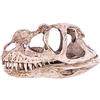 Changor Modello Di Teschio Di Dinosauro In Resina Scheletro Animale Simulato Home Office Decor Craft Insegnamento Prop