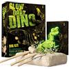 Dr. Daz - Archeogiocando fosforescenti Gioco Dinosauri -Kit di scavi per Dinosauri T-Rex Assemblare Gli 16 Pezzi di Dinosauro