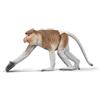CollectA Proboscis Monkey - Figura realistica di animali selvatici rifinita a mano, giocattoli e figure della giungla, regali per bambini e bambini, età 3 + anni