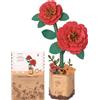 rowood Puzzle 3D Fai da te Fiore in Legno Kit Modellino di Fiori Artificiali Da Montare Per Adulti (Red Camellia)