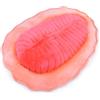 lilizzhoumax Peluche di Dickinsonia 30cm/12pollice simulazione giocattolo morbido Antica vita marina Bambole Animali Selvatici Bambini e Amici Regalo per la festa di compleanno coccoloso - rosa