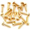 Musiclily Ultra 2,5x10 mm Viti Testa Croce per Meccaniche Dorato 20 Pezzi | Acciaio Inossidabile,per Chitarra Elettrica Acustica Basso
