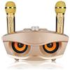 Bewinner Mini Impianto Karaoke Portatile Per Home/Feste/Riunioni d'Ufficio (Bluetooth 4.2, Scheda TF, AUX, FM, Disco U, 2 Microfoni a Condensatore Palmare a Punto Singolo, Batteria Ricaricabile)