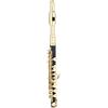 Eujgoov Flauto Piccolo 21 Cm, Piccolo Ottavin ABS + Cupronichel Chiave Piccolo C Ottavino (GOLD)